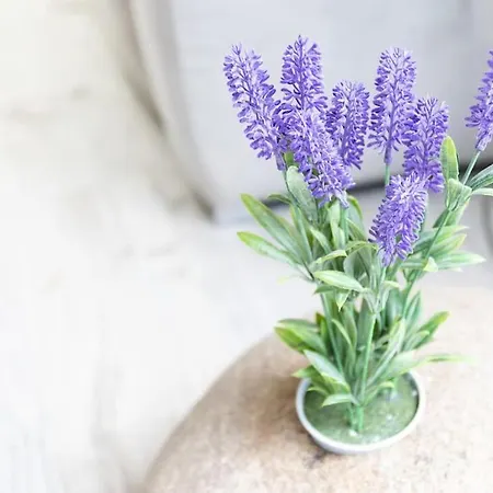 Lägenhet Lujoso Piso Marín